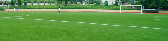 China Artificial Grass China Artificial Grass