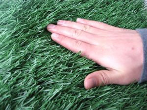 Check the quality of the grass 2 How to Choose Artificial Grass