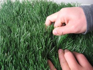 check the quality of artificial grass check the quality of the grass 1 How to Choose Artificial Grass